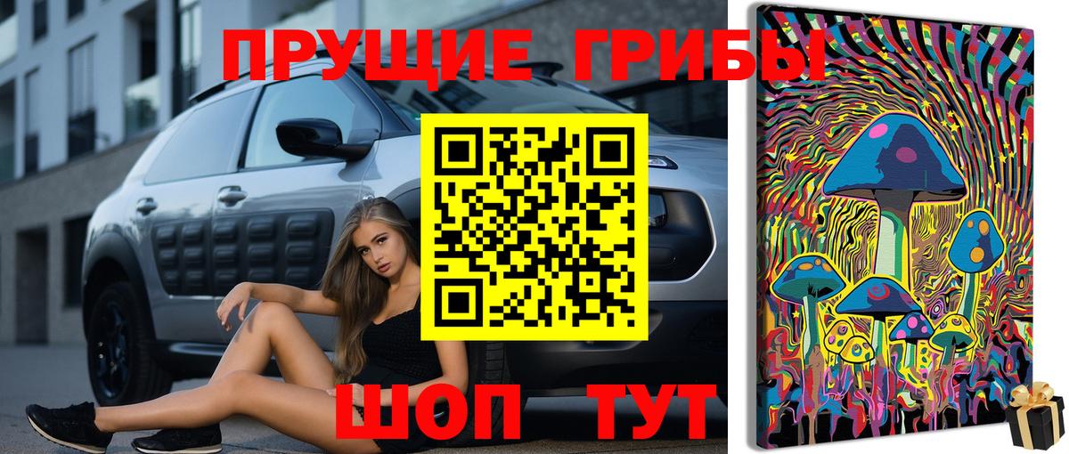 Городец  Псилоцибиновые грибы мухоморы  Псилоцибиновые грибы мицелий  Вход с VPN 